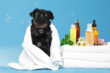 Homöopathie für Hunde: Ein umfassender Leitfaden zur Anwendung