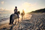 Reitsport für das kleine Budget: So sparst du clever und sicher