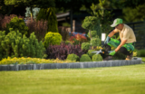 Gartenpflege leicht gemacht: Tipps für Einsteiger