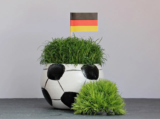 Ultimative EM-Rabattaktionen: Sparen und Jubeln wie ein Profi!